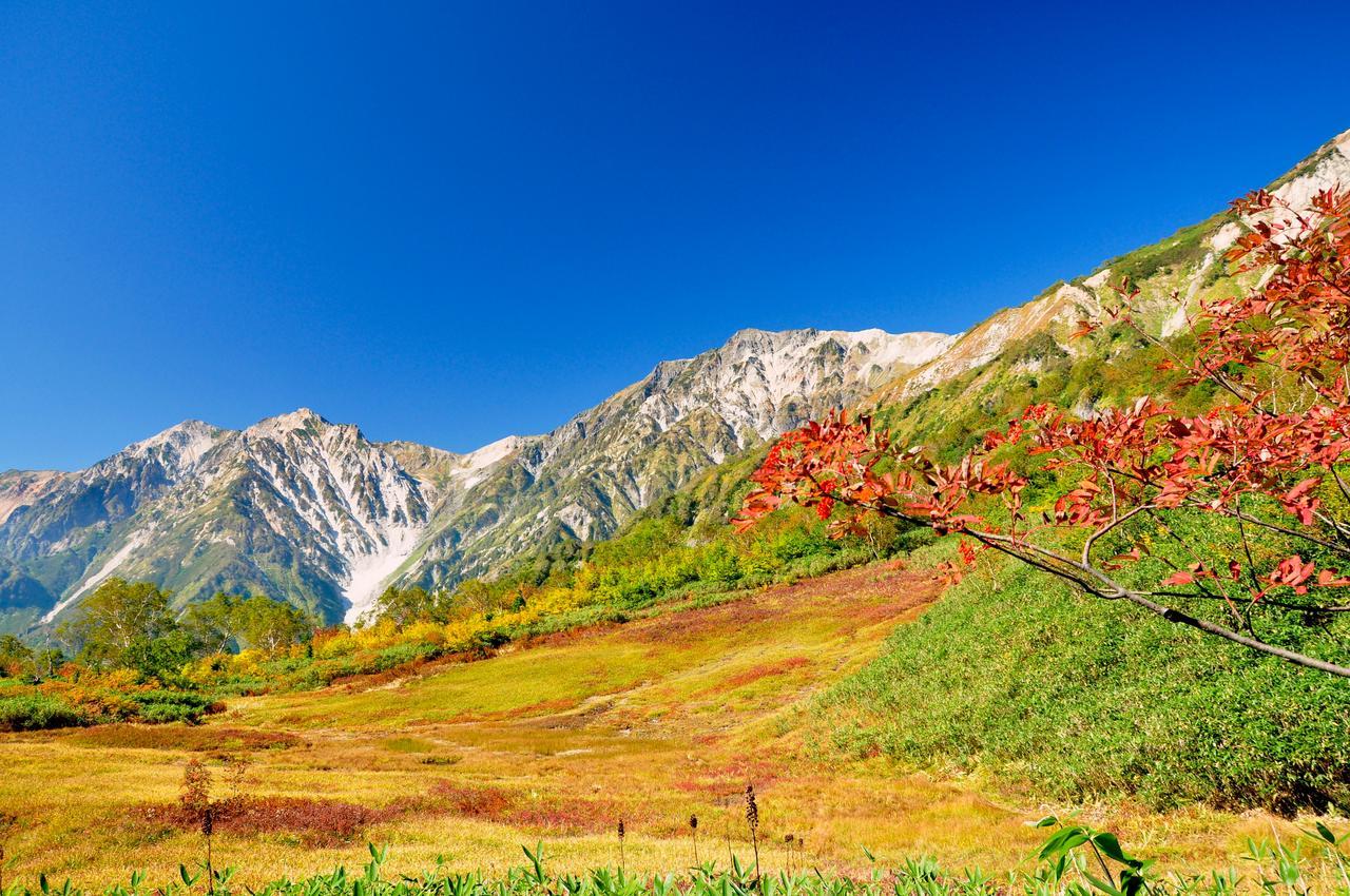 Hotel Hakuba Berghaus Отари Экстерьер фото